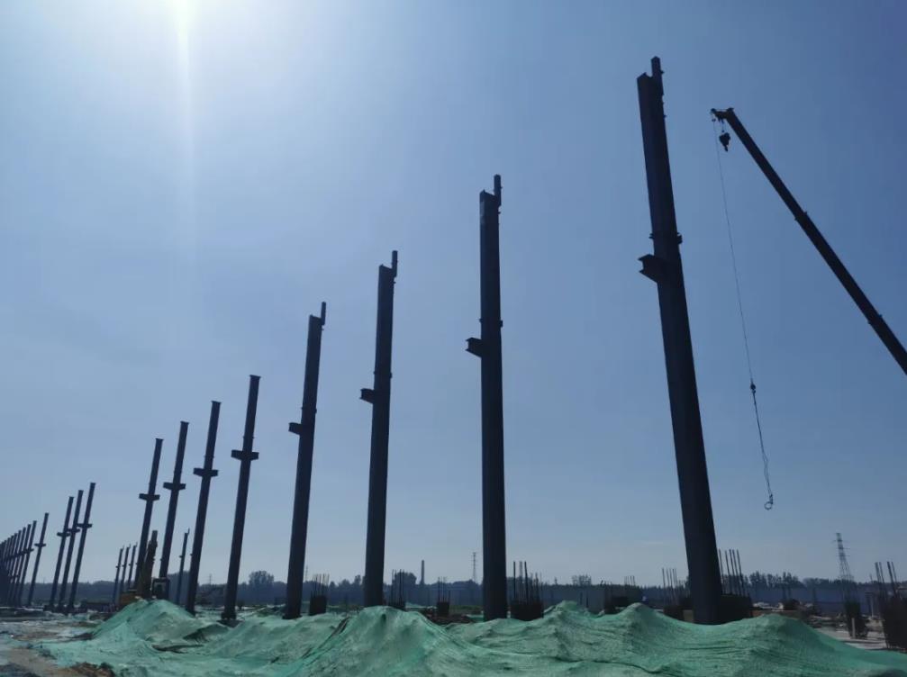 1627525835269363.jpg 1627525835269363.jpg