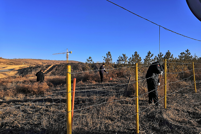 1640248714624828.jpg 2021年12月22日朱家峁煤矿开展“清除杂草,消除火灾隐患”活动(相红伟摄).jpg