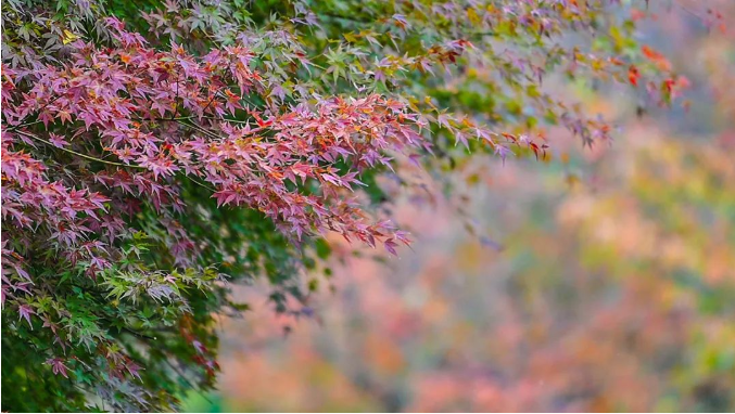 1667702074716935.png 微信截图_20221106103035.png