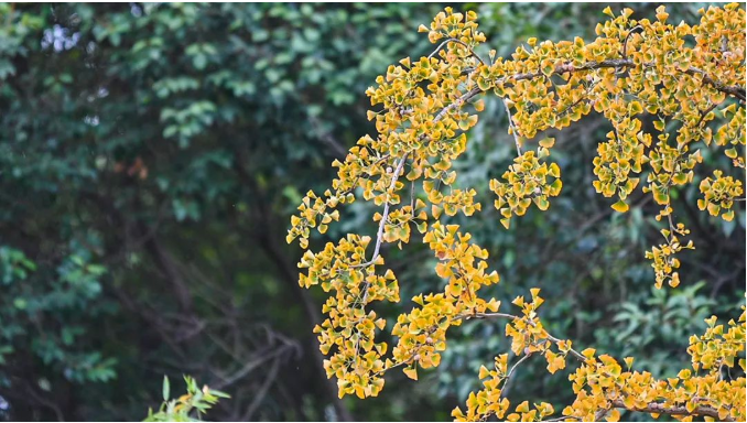 1667702117958630.png 微信截图_20221106103055.png