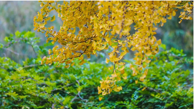 1667702130319744.png 微信截图_20221106103104.png