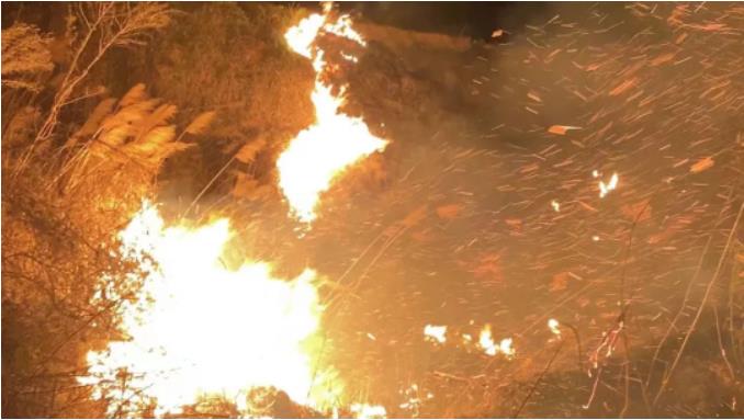 1680852024845814.jpg 微信截图_20230407151926.jpg