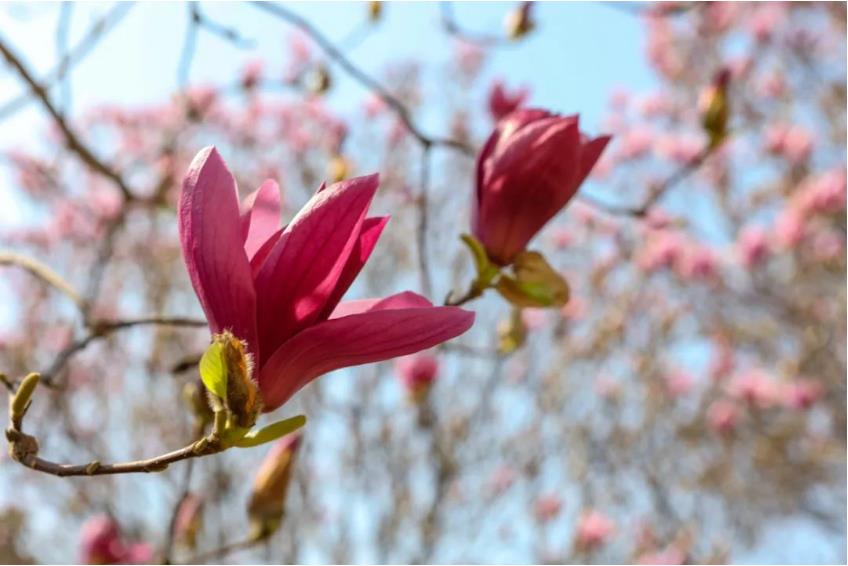 1681003725968405.jpg 微信截图_20230409092534.jpg