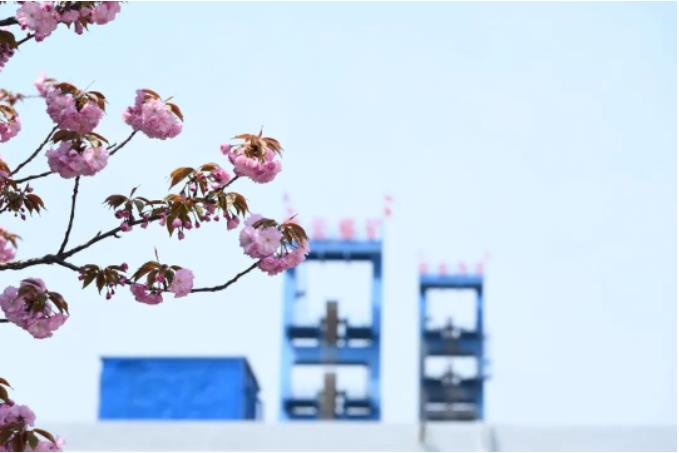 1681862405631425.jpg 微信截图_20230419075714.jpg