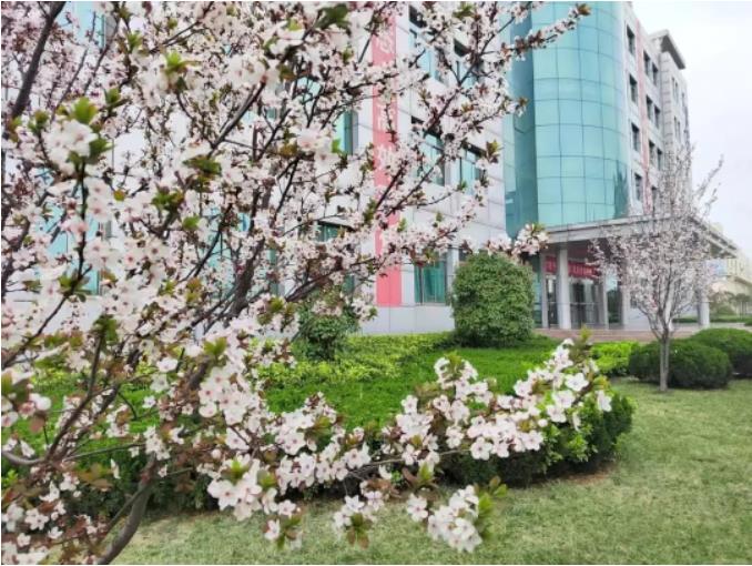 1681862413893066.jpg 微信截图_20230419075740.jpg