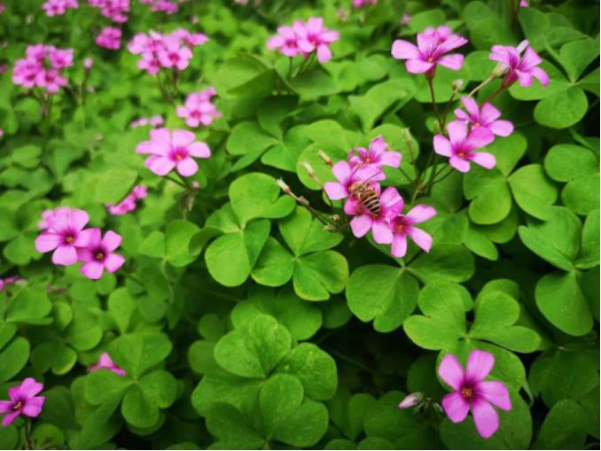 1681862421831881.jpg 微信截图_20230419075756.jpg