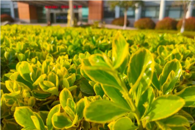 1681948690969941.jpg 微信截图_20230420075650.jpg