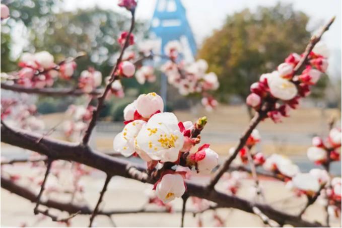 1681948730425399.jpg 微信截图_20230420075718.jpg