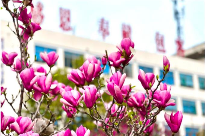 1681948746824888.jpg 微信截图_20230420075728.jpg