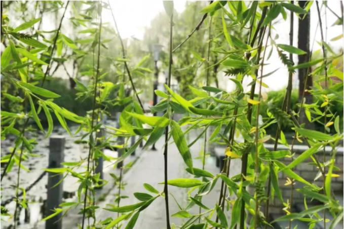 1681948758963063.jpg 微信截图_20230420075739.jpg