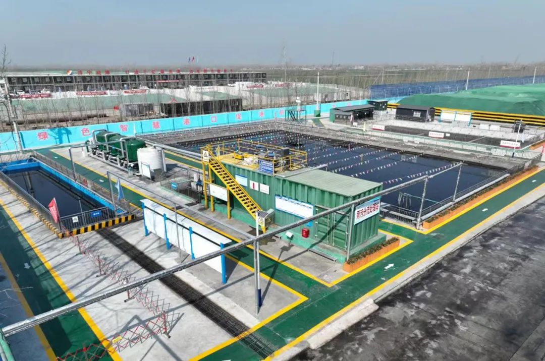 1688520185745029.jpg 640 (4).jpg