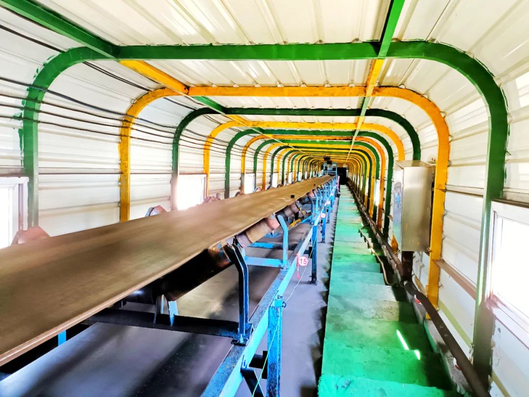 1695696202547579.jpg 640.jpg