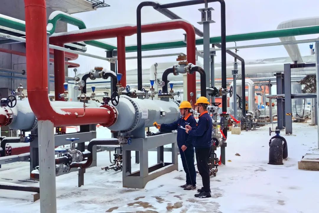 1706939559137400.jpg 3.jpg