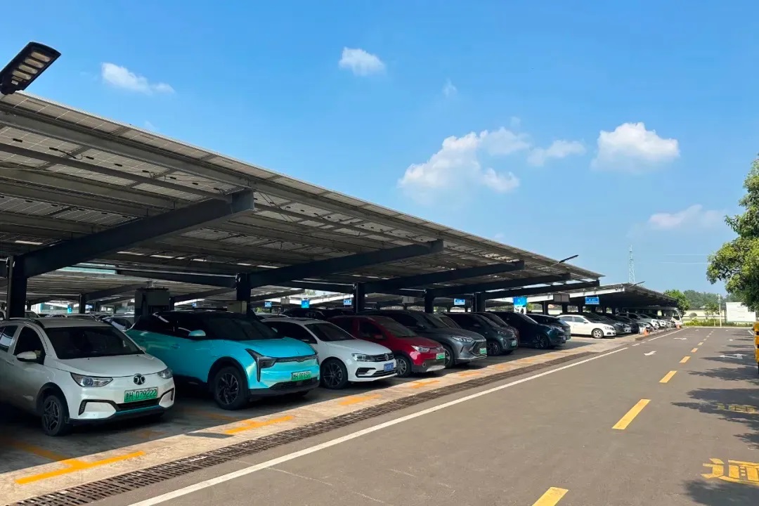 1726037630994636.jpg 0003.jpg