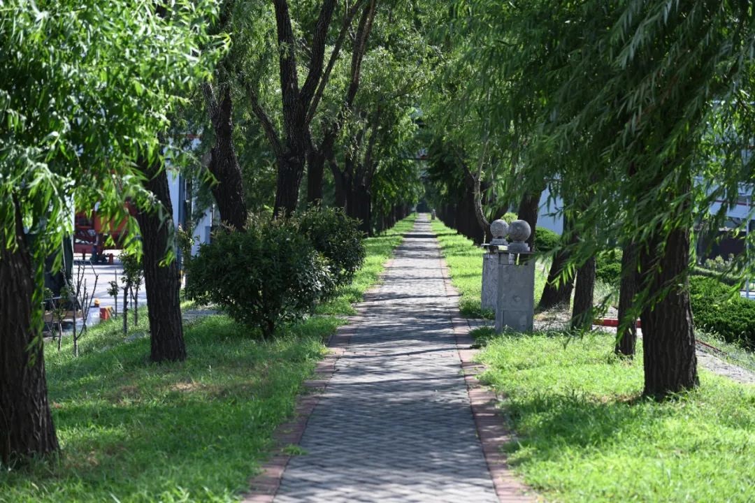 1727099854868639.jpg 0004.jpg