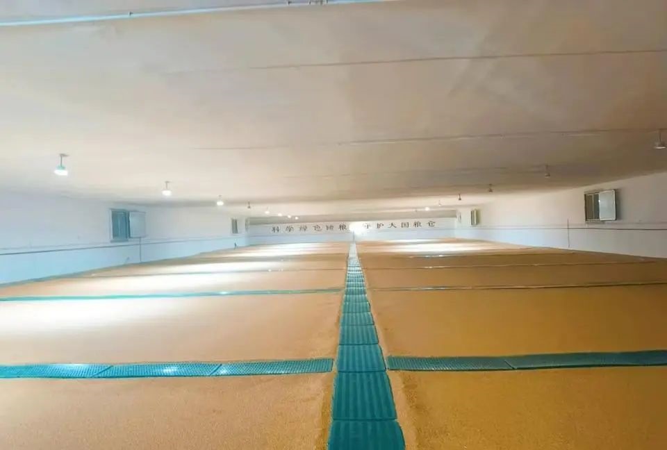 1731912370573527.jpg 0001.jpg