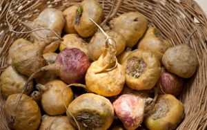 Maca Root for Increase Sperm Count